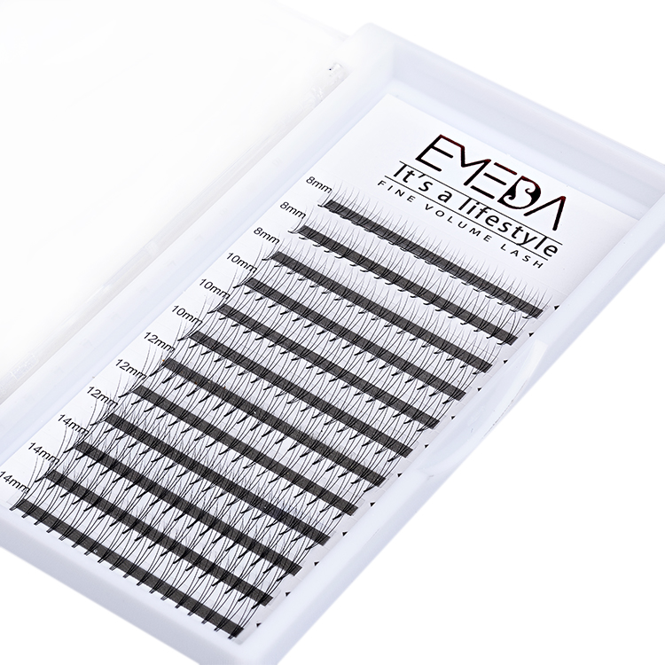 Individual Premade Fan Eyelash Vendor Private Label Eyelash Free Sample   YL03