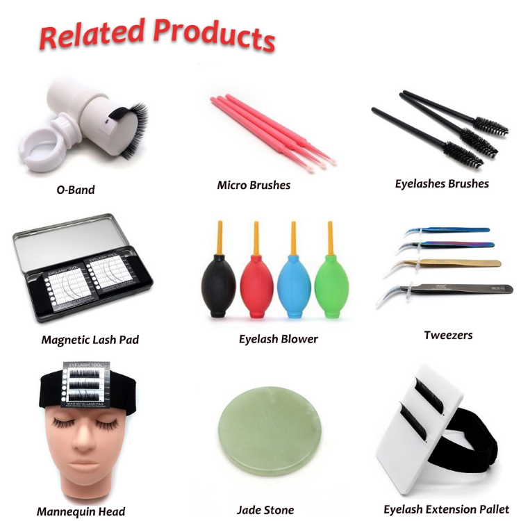 Related-Eyelash-Products.png