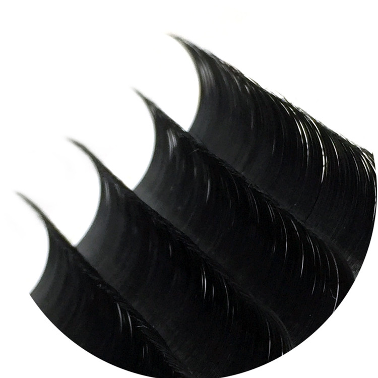 ellipse-lashes.jpg