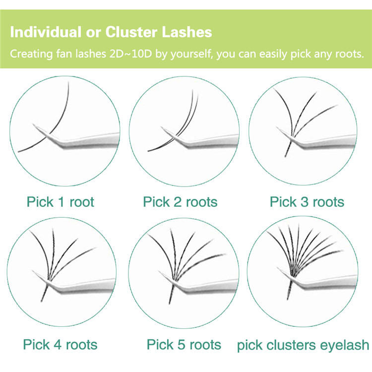 easy-fans-lashes01Y.jpg