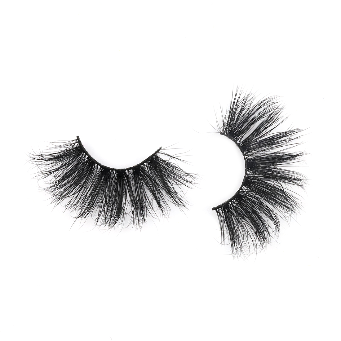 E-eyelash-02633166.jpg