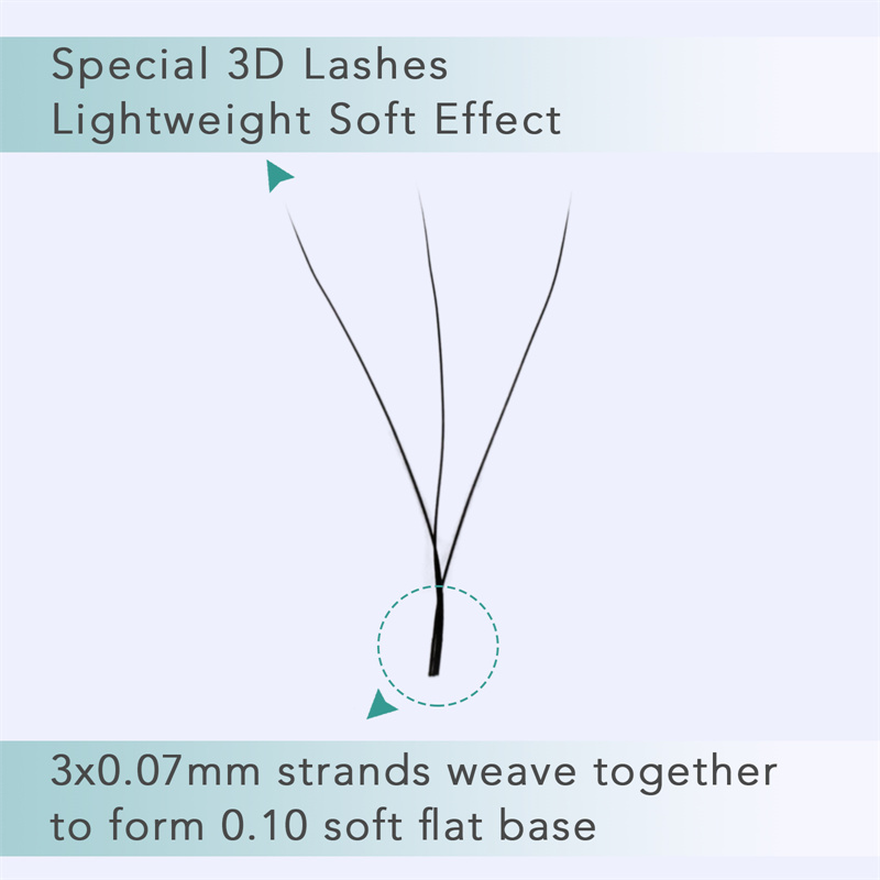 W-lash-extension-02.jpg