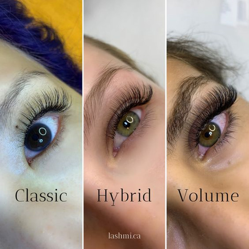 classic-lash-volume-lash.jpg