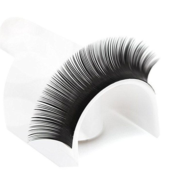 Best Wholesaler Supply Flat Eyelash Extension Korea PBT Fiber Ellipse Eyelashes with Private Label  YY47