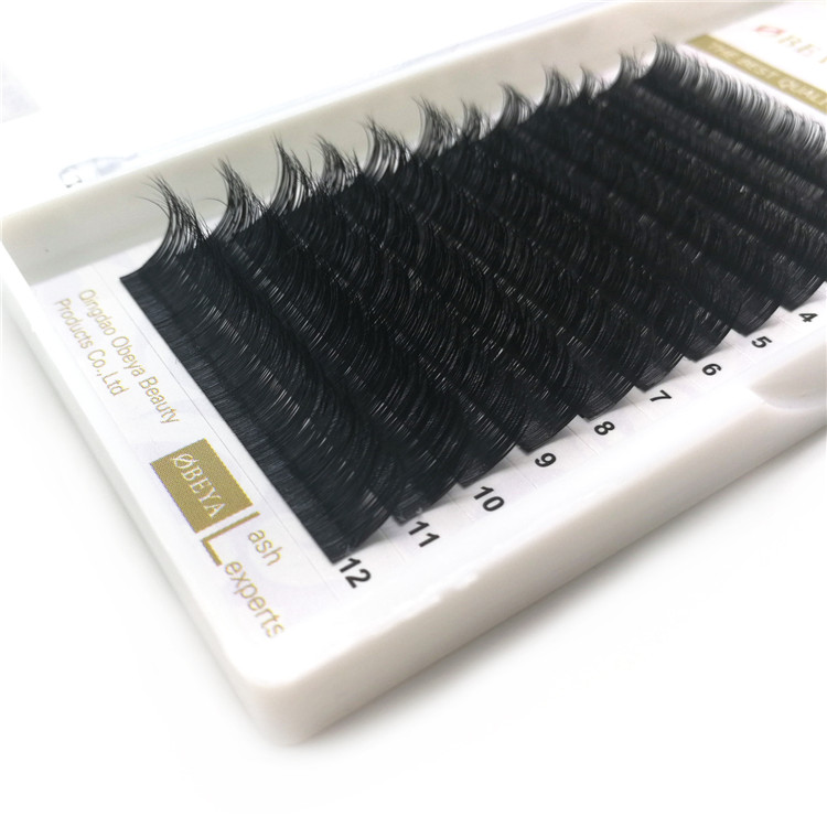 Free Sample Accepted 100% Real Mink Fur Individual Eyelash Extension C D Curl with Private Logo YY56